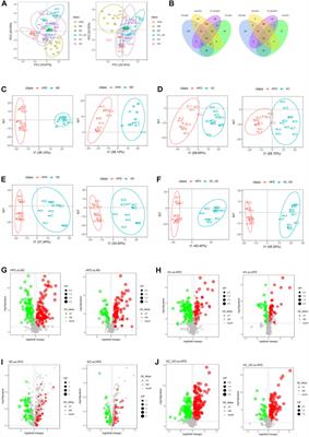 Vitamin C and vitamin D3 alleviate metabolic-associated fatty liver disease by regulating the gut microbiota and bile acid metabolism via the gut-liver axis